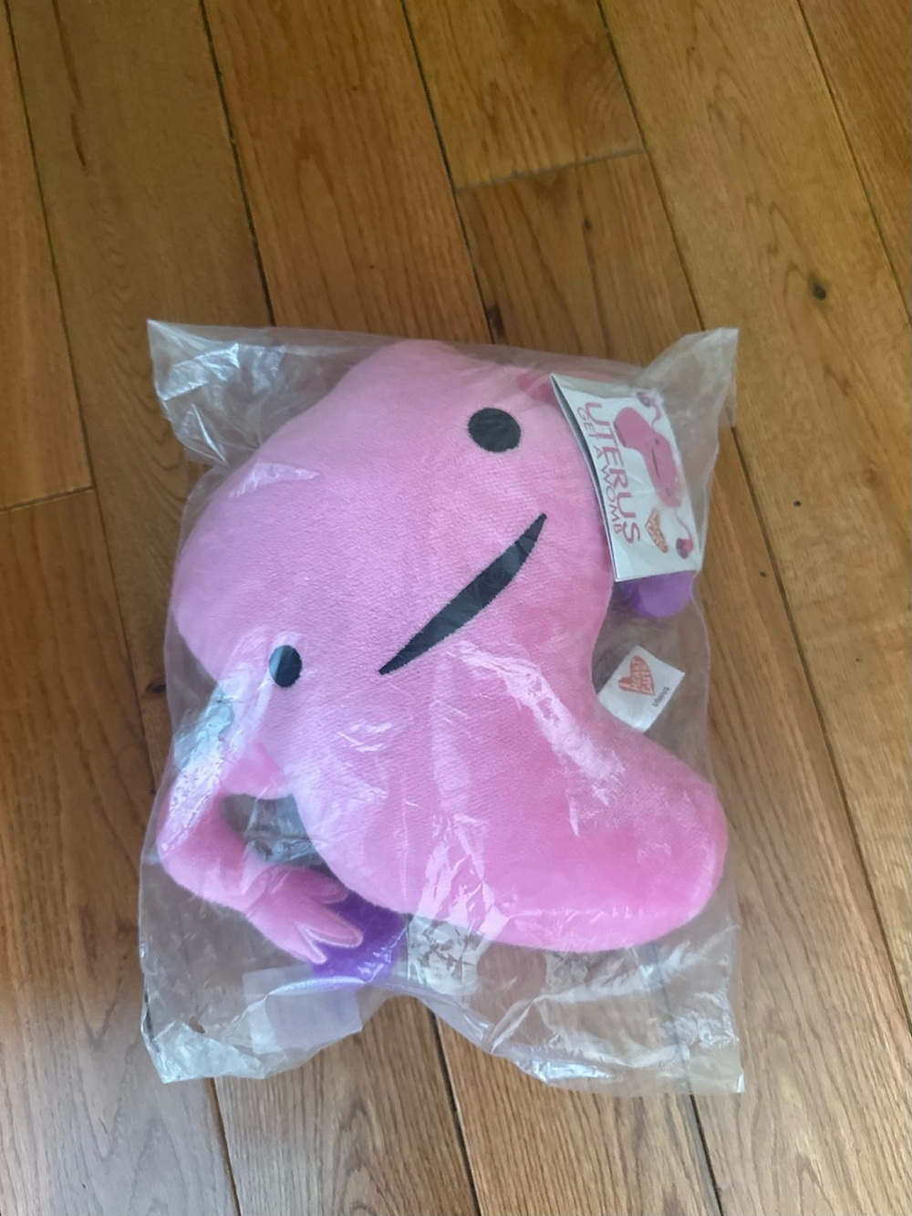 I Heart Guts Uterus Plush “Womb Service” NWT